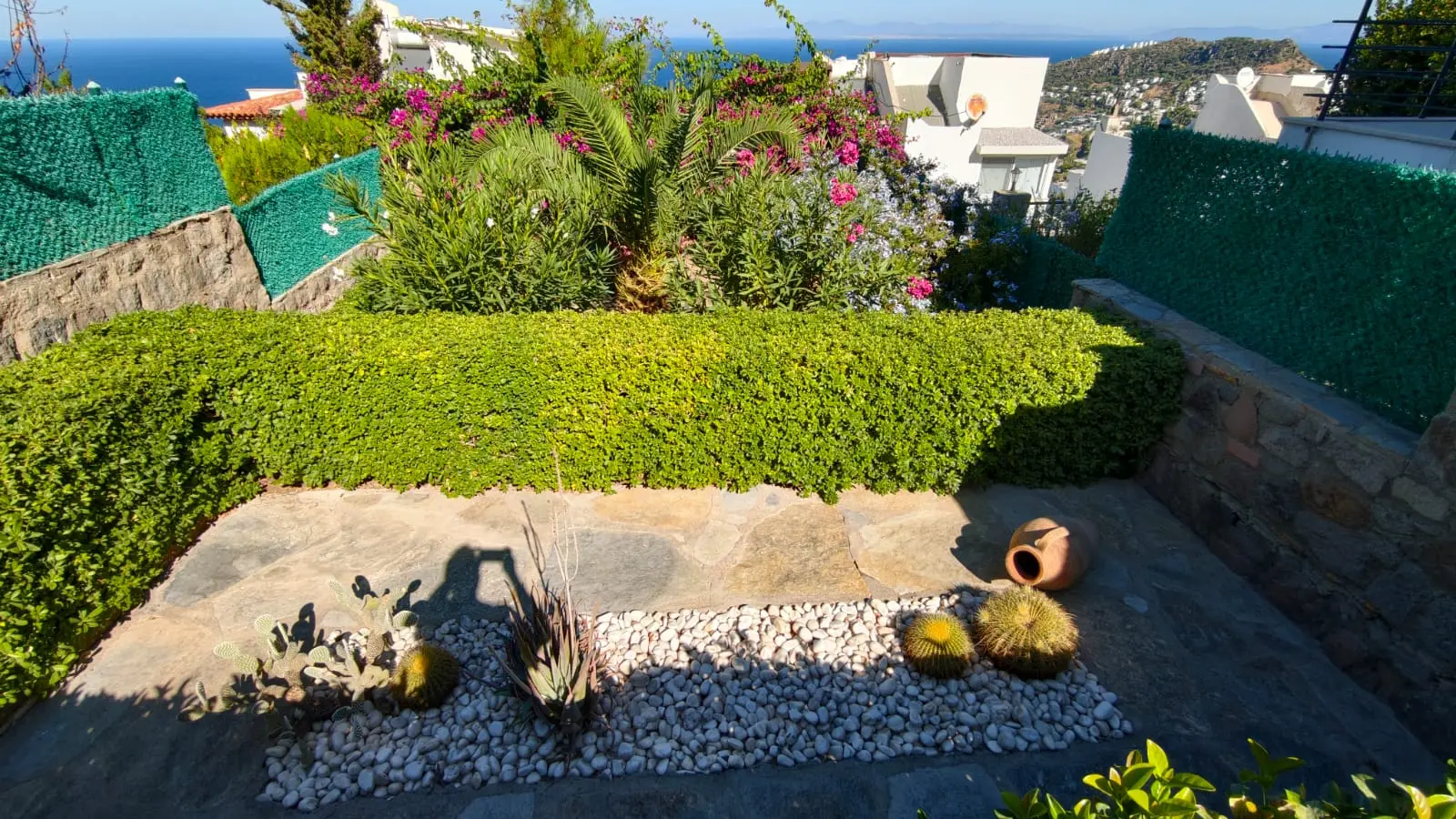 Mature garden